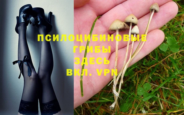 MDMA Каменск-Шахтинский