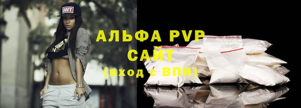 PSILOCYBIN Каменногорск