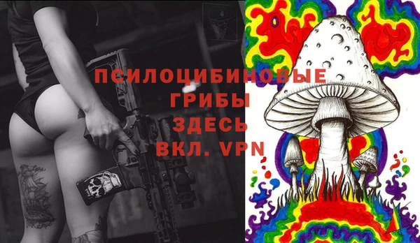 первитин Каменка