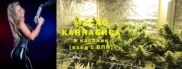 первитин Каменка