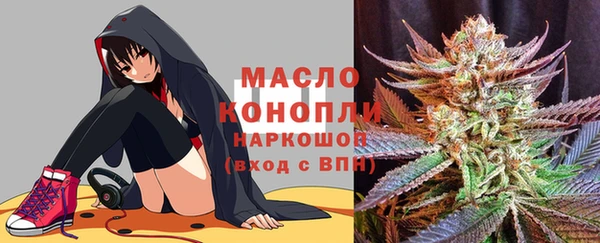 первитин Каменка