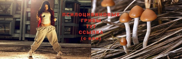 первитин Каменка