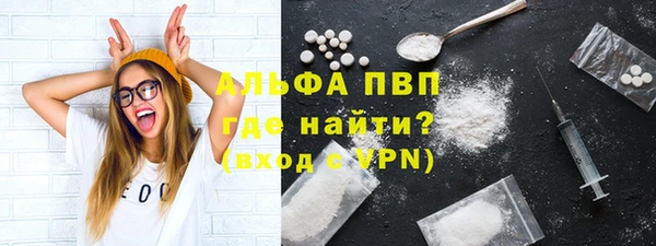 PSILOCYBIN Каменногорск