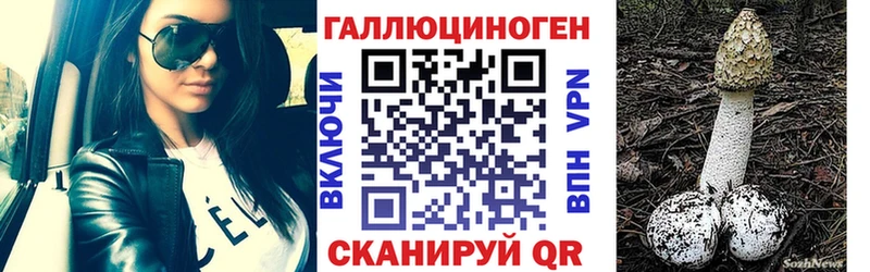 Псилоцибиновые грибы Psilocybine cubensis  Купить где  Тетюши 